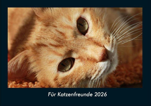 Für Katzenfreunde 2026 Fotokalender DIN A4