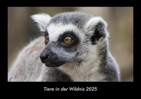 Tiere in der Wildnis 2025 Fotokalender DIN A3