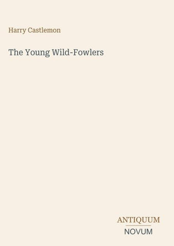 The Young Wild-Fowlers