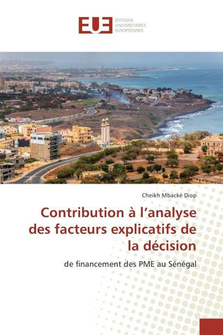 Contribution à l'analyse des facteurs explicatifs de la décision