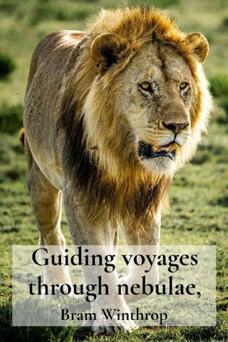 Guiding voyages through nebulae,