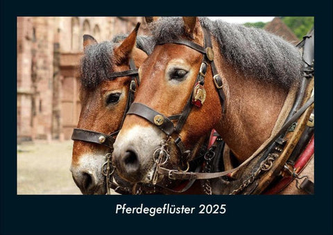 Pferdegeflüster 2025 Fotokalender DIN A4