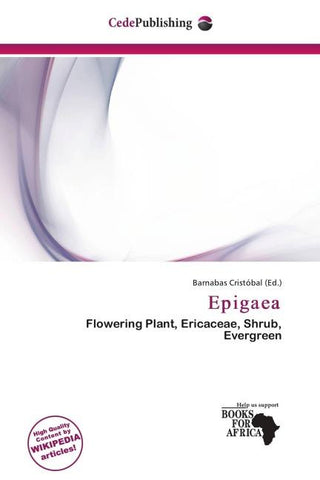 Epigaea