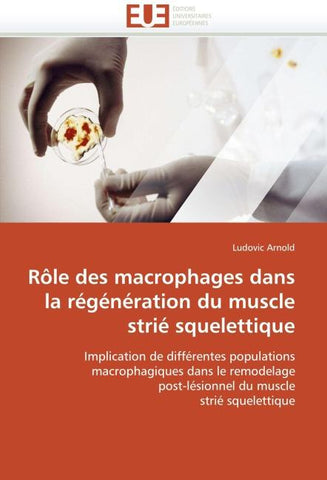 Rôle des macrophages dans la régénération du muscle strié squelettique