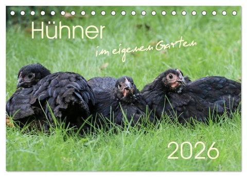 Hühner im eigenen Garten (Tischkalender 2026 DIN A5 quer), CALVENDO Monatskalender