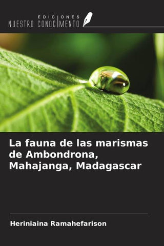 La fauna de las marismas de Ambondrona, Mahajanga, Madagascar