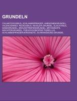 Grundeln