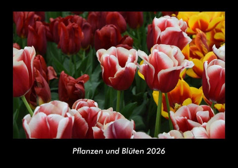 Pflanzen und Blüten 2026 Fotokalender DIN A3