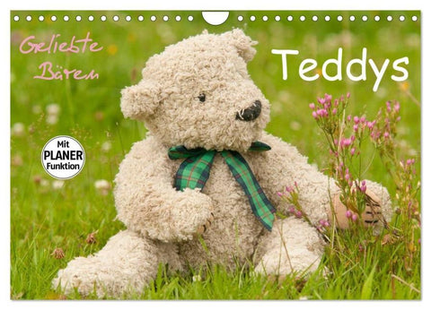 Geliebte Bären - Teddys (Wandkalender 2026 DIN A4 quer), CALVENDO Monatskalender
