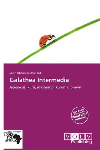 Galathea Intermedia