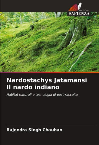 Nardostachys Jatamansi Il nardo indiano