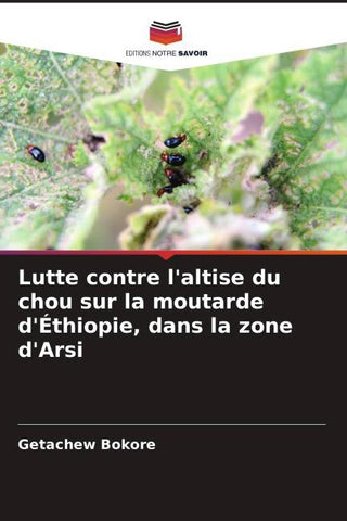 Lutte contre l'altise du chou sur la moutarde d'Éthiopie, dans la zone d'Arsi
