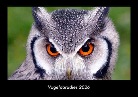 Vogelparadies 2026 Fotokalender DIN A3