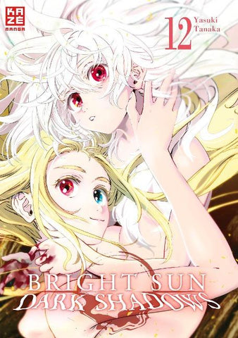 Bright Sun – Dark Shadows – Band 12