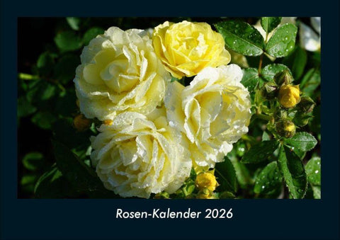 Rosen-Kalender 2026 Fotokalender DIN A4