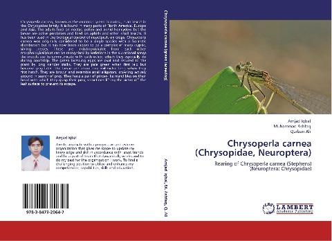 Chrysoperla carnea (Chrysopidae, Neuroptera)