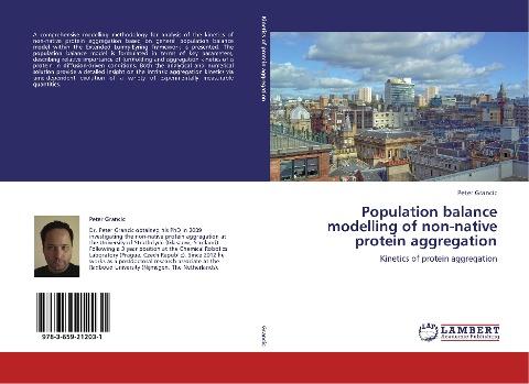 Population balance modelling of non-native protein aggregation