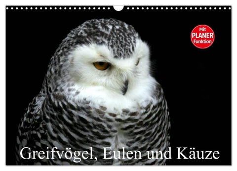 Greifvögel, Eulen und Käuze (Wandkalender 2026 DIN A3 quer), CALVENDO Monatskalender