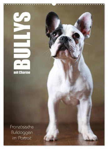 Bullys mit Charme - Französische Bulldoggen im Portrait (Wandkalender 2026 DIN A2 hoch), CALVENDO Monatskalender