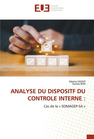ANALYSE DU DISPOSITF DU CONTROLE INTERNE :