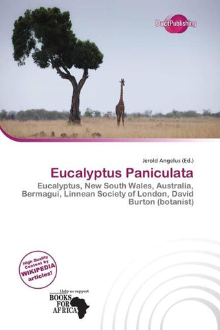Eucalyptus Paniculata