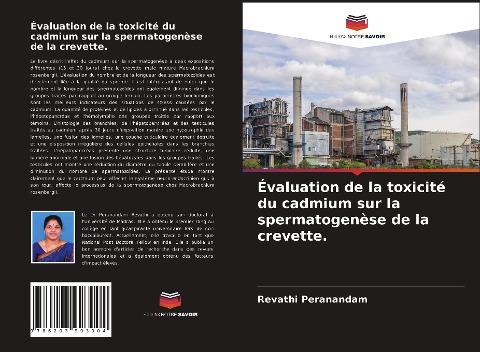 Évaluation de la toxicité du cadmium sur la spermatogenèse de la crevette.