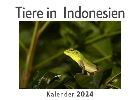 Tiere in  Indonesien (Wandkalender 2024, Kalender DIN A4 quer, Monatskalender im Querformat mit Kalendarium, Das perfekte Geschenk)