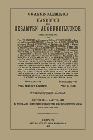 Entwicklungsgeschichte des menschlichen Auges