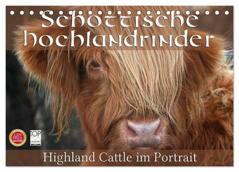 Schottische Hochlandrinder - Highland Cattle im Portrait (Tischkalender 2026 DIN A5 quer), CALVENDO Monatskalender