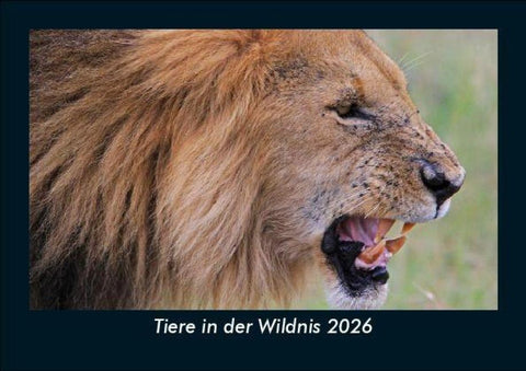 Tiere in der Wildnis 2026 Fotokalender DIN A5