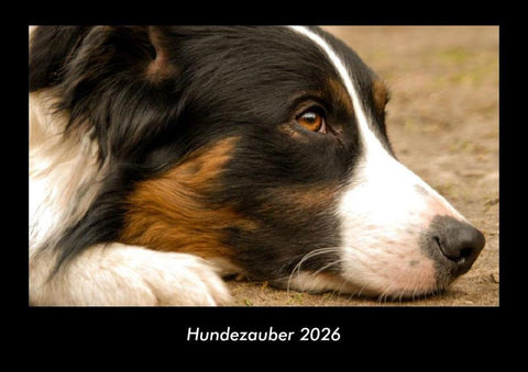 Hundezauber 2026 Fotokalender DIN A3