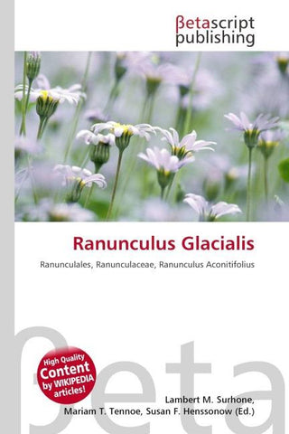 Ranunculus Glacialis
