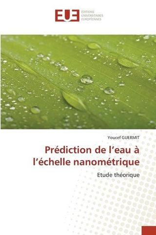 Prédiction de l'eau à l'échelle nanométrique