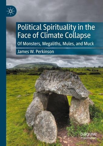 Political Spirituality in the Face of Climate Collapse