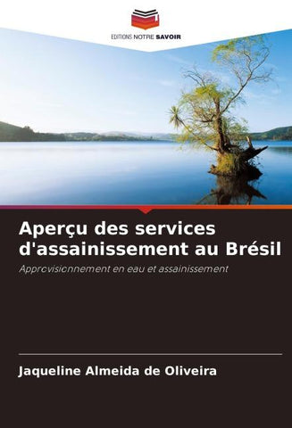 Aperçu des services d'assainissement au Brésil