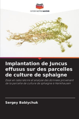 Implantation de Juncus effusus sur des parcelles de culture de sphaigne