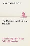 The Meadow-Brook Girls in the Hills The Missing Pilot of the White Mountains