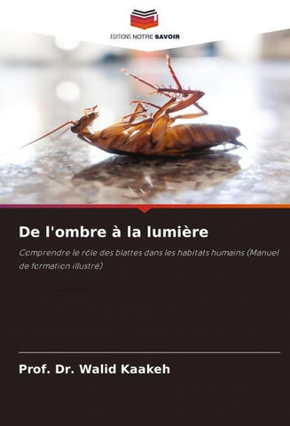 De l'ombre à la lumière