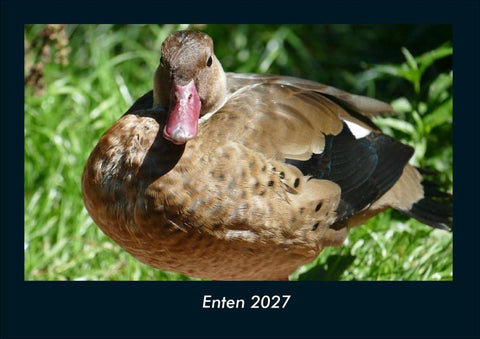 Enten 2027 Fotokalender DIN A4