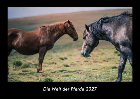 Die Welt der Pferde 2027 Fotokalender DIN A3