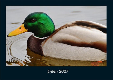 Enten 2027 Fotokalender DIN A4
