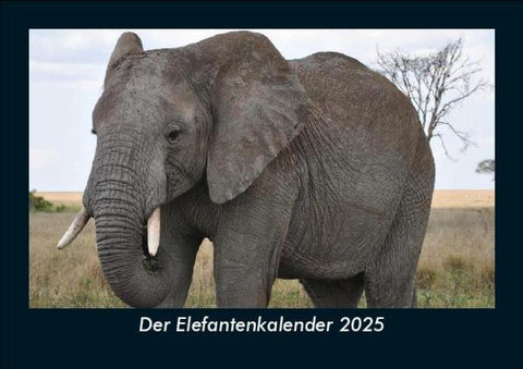 Der Elefantenkalender 2025 Fotokalender DIN A5