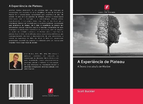 A Experiência de Plateau