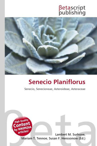 Senecio Planiflorus