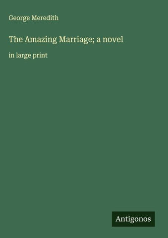 The Amazing Marriage; a novel