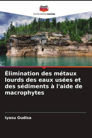 Élimination des métaux lourds des eaux usées et des sédiments à l'aide de macrophytes