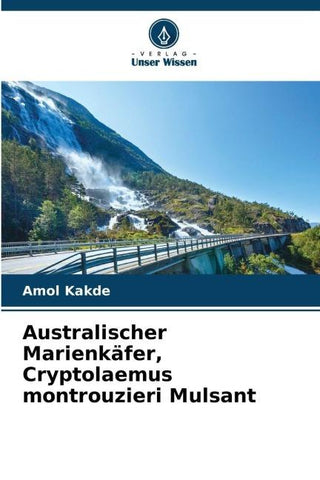Australischer Marienkäfer, Cryptolaemus montrouzieri Mulsant