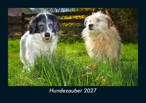 Hundezauber 2027 Fotokalender DIN A5