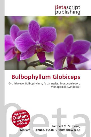 Bulbophyllum Globiceps