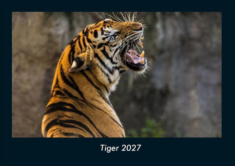Tiger 2027 Fotokalender DIN A4